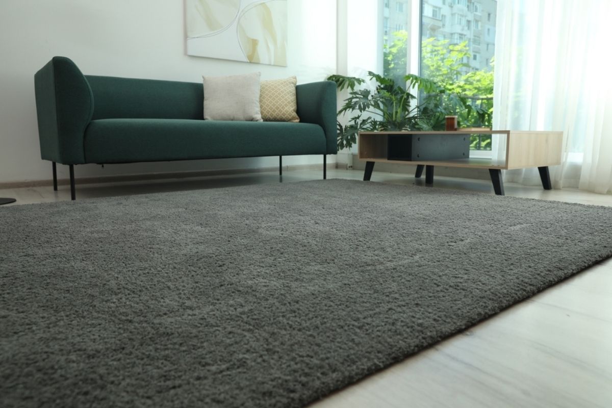 Veliki sivi tepih u dnevnoj sobi sa zelenim nameštajem i prirodnim svetlom